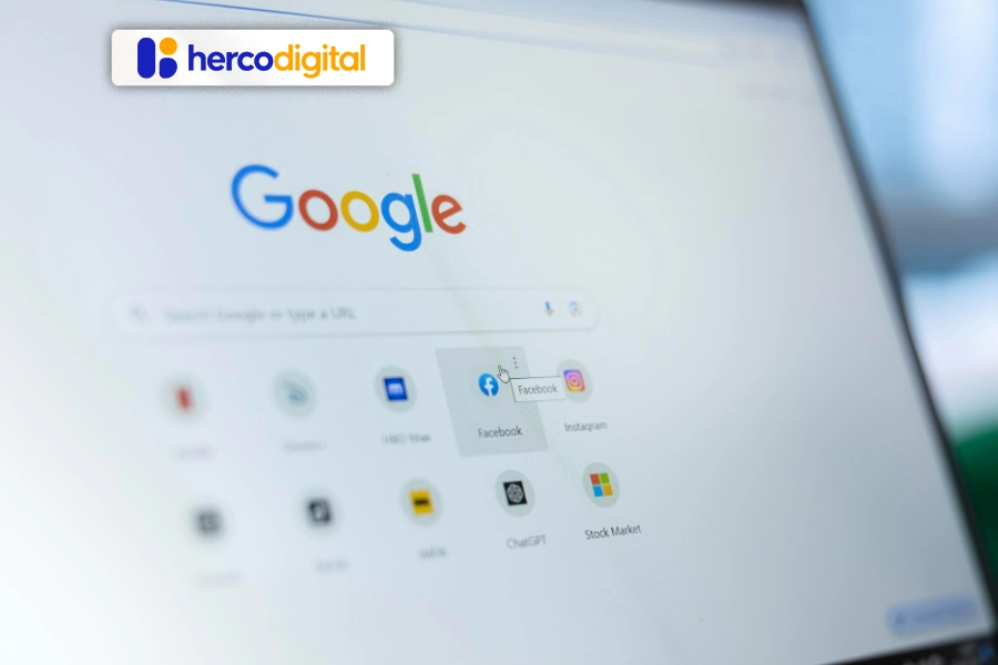 jenis search engine